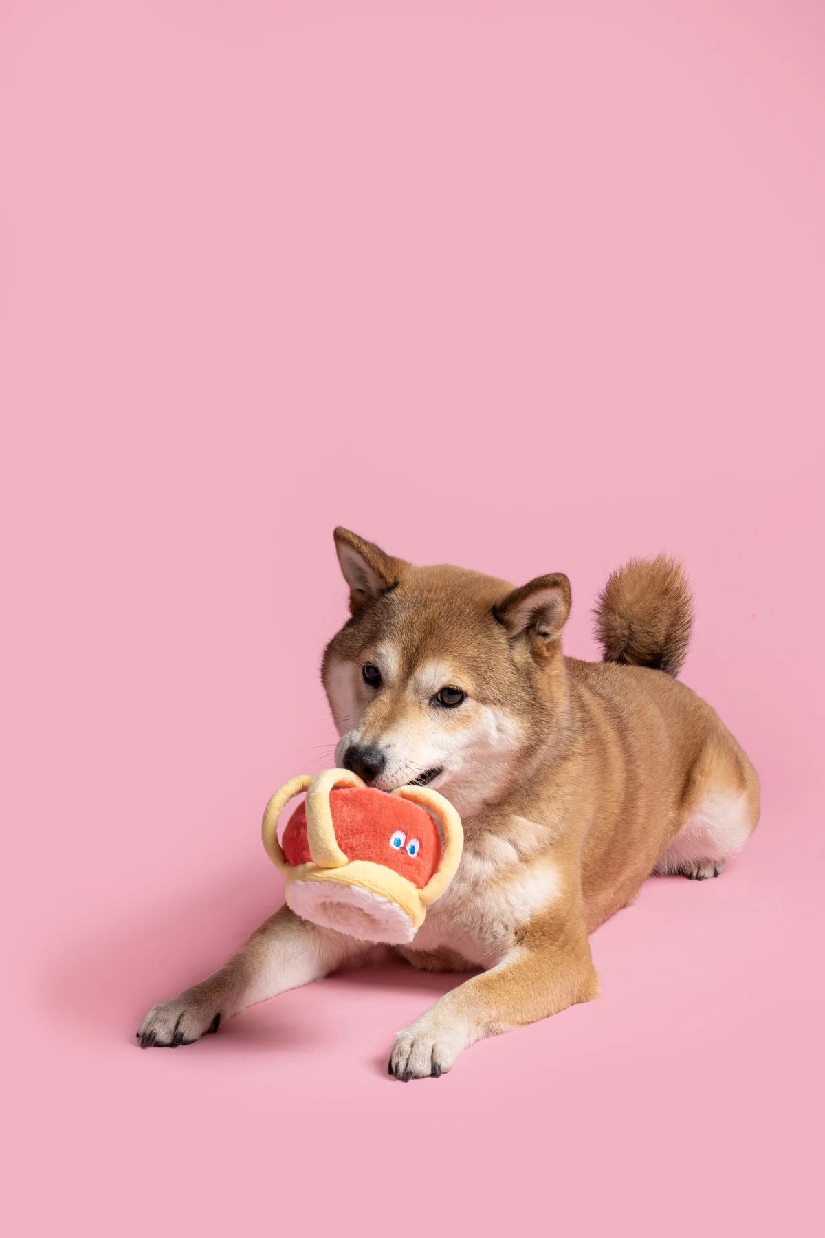 Fluffy Little King Toy — photograph 4