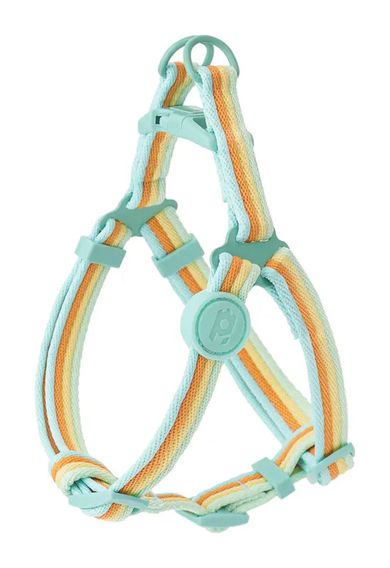 Mint Lemon Tart Harness — photograph 2