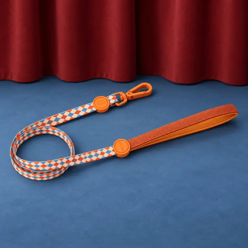 Carnival Echo Lead — photograph 1