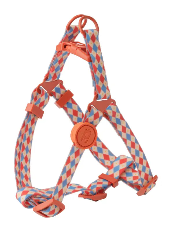 Carnival Echo Harness — photograph 2