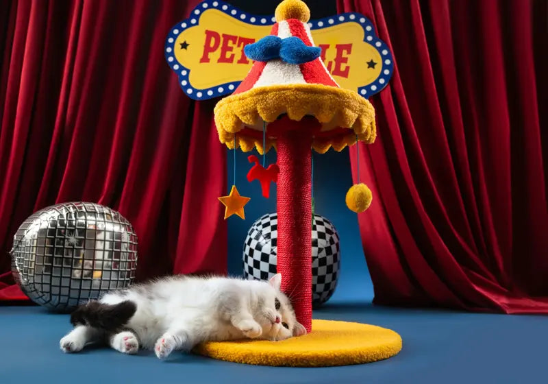 Carousel Cat Scratcher — photograph 7