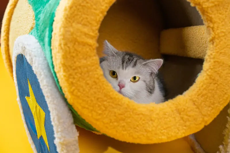 Circus Cannon Cozy Cat Bed — photograph 7