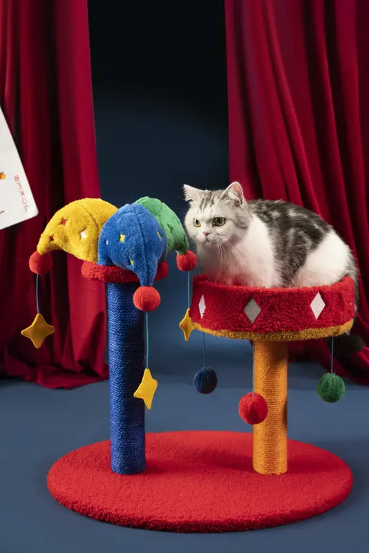 Circus Clown Hat Cat Scratcher House — photograph 6