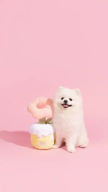 Peach Fairy Blossom Toy — photograph 2