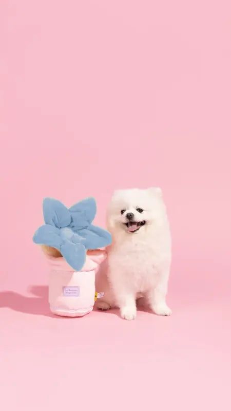 Juliet Blossom Toy — photograph 2