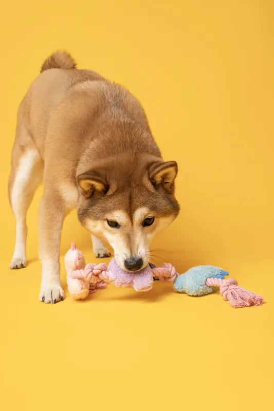 KPI Catcher Rope Toy — photograph 1