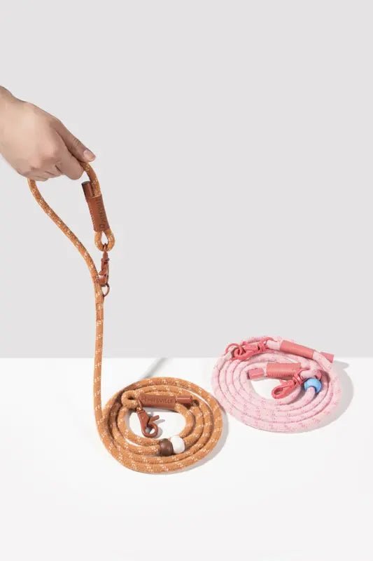 Gummy Palm Brown Slip Lead — photograph 2