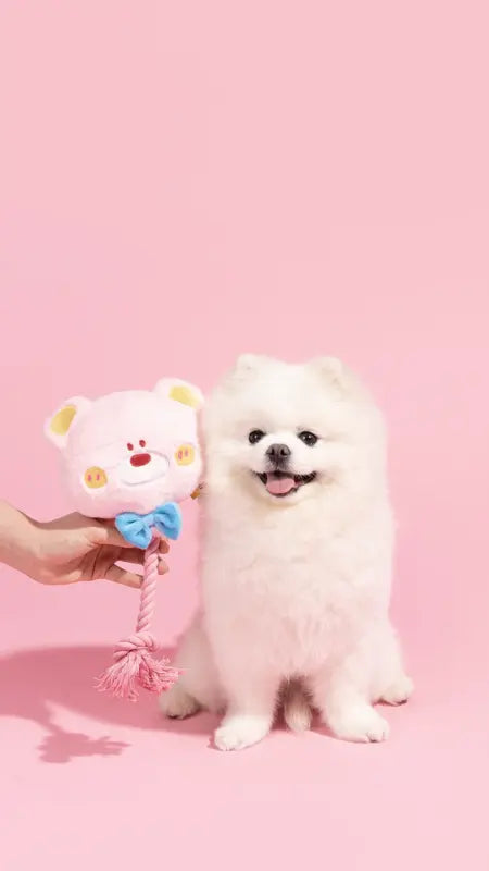 Sugar Plum Rope Bear Toy — photograph 5