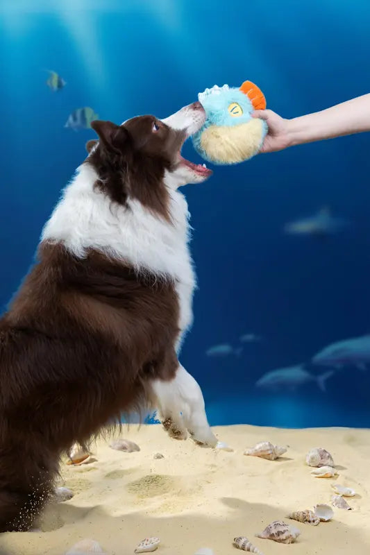 Bouncy Pudding Anglerfish Toy — photograph 3