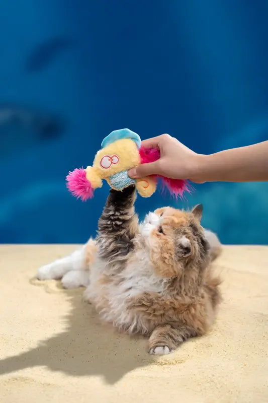 Pom-Pom Seahorse Cat Toy — photograph 4