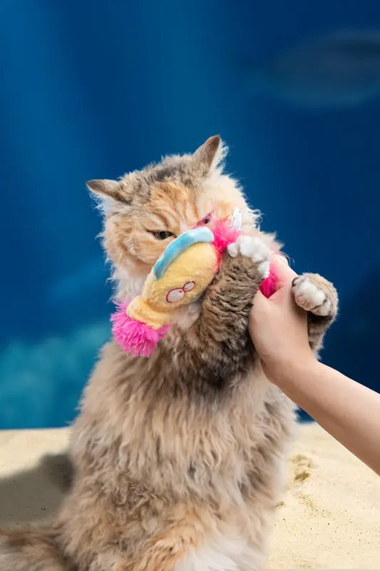 Pom-Pom Seahorse Cat Toy — photograph 6