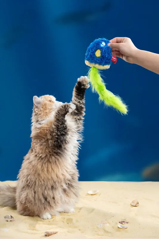 Wiggle Tail Sunfish Cat Toy — photograph 4