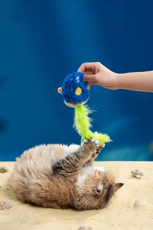 Wiggle Tail Sunfish Cat Toy — photograph 5