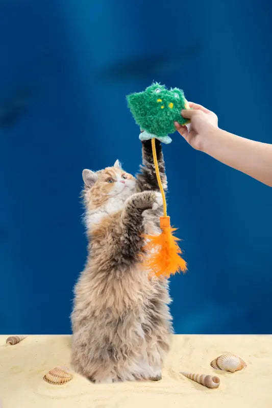 Comet Tail Manta Ray Cat Toy — photograph 3