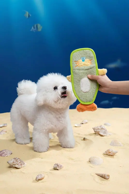 Lime Seal Toy — photograph 3