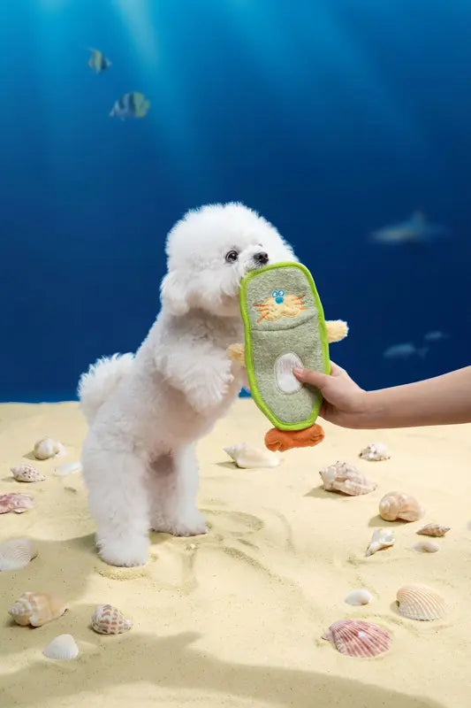 Lime Seal Toy — photograph 5