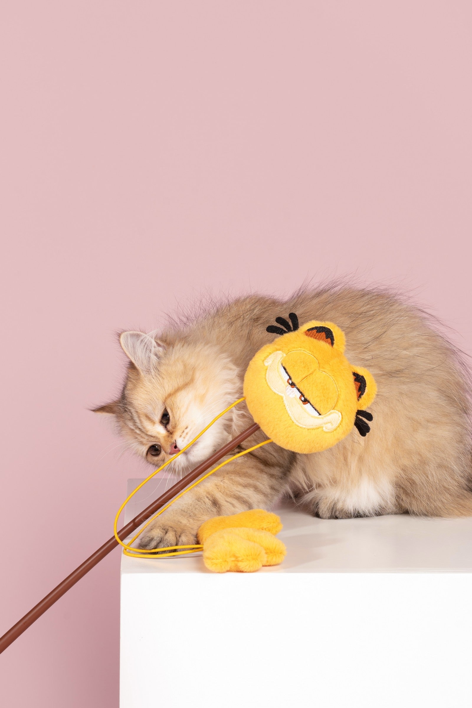 Long-haired cat with a Garfield character wand toy on a pink studio set