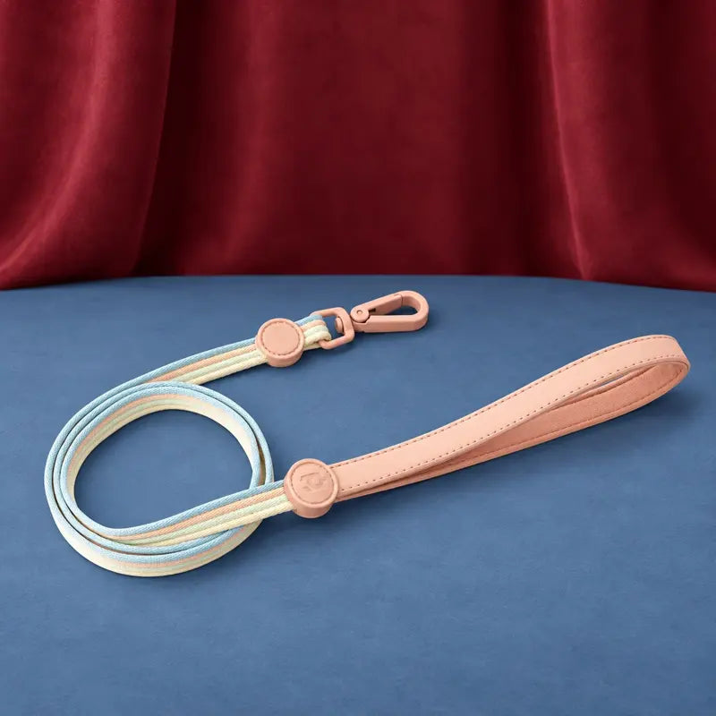 Candy Dream Lead