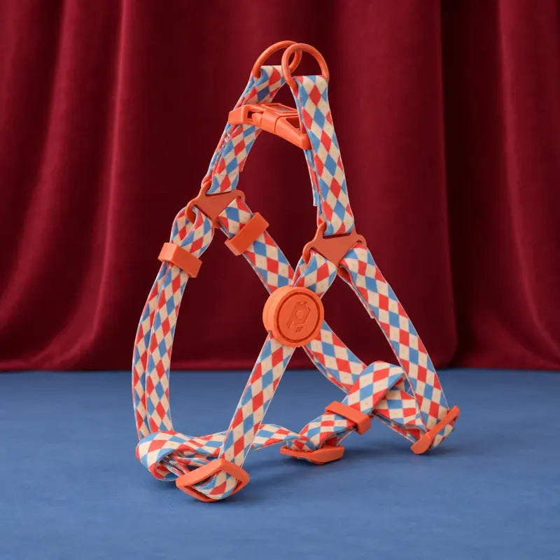 Carnival Echo Harness