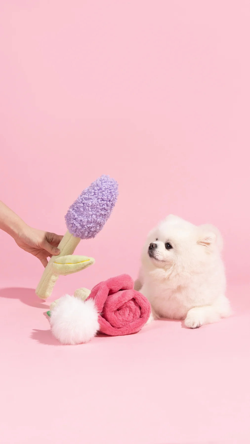 Dog with PETSVILLE flower toys on a pink set